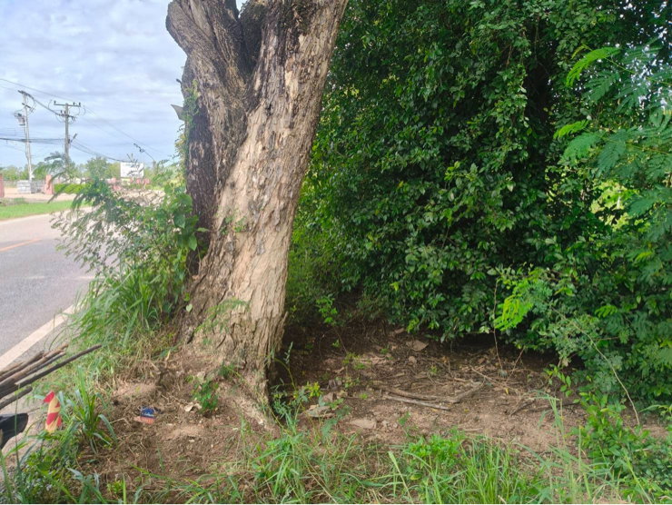 รูป เจ้าของขายเอง เชียงยืน ติดถนนหลัก อด.3001 (บ้านเลื่อม-เชียงเพ็ง) ที่ดิน ทำเลทอง รองรับการขยายตัวของเมืองอุดรธานี - รูปที่ 8/20