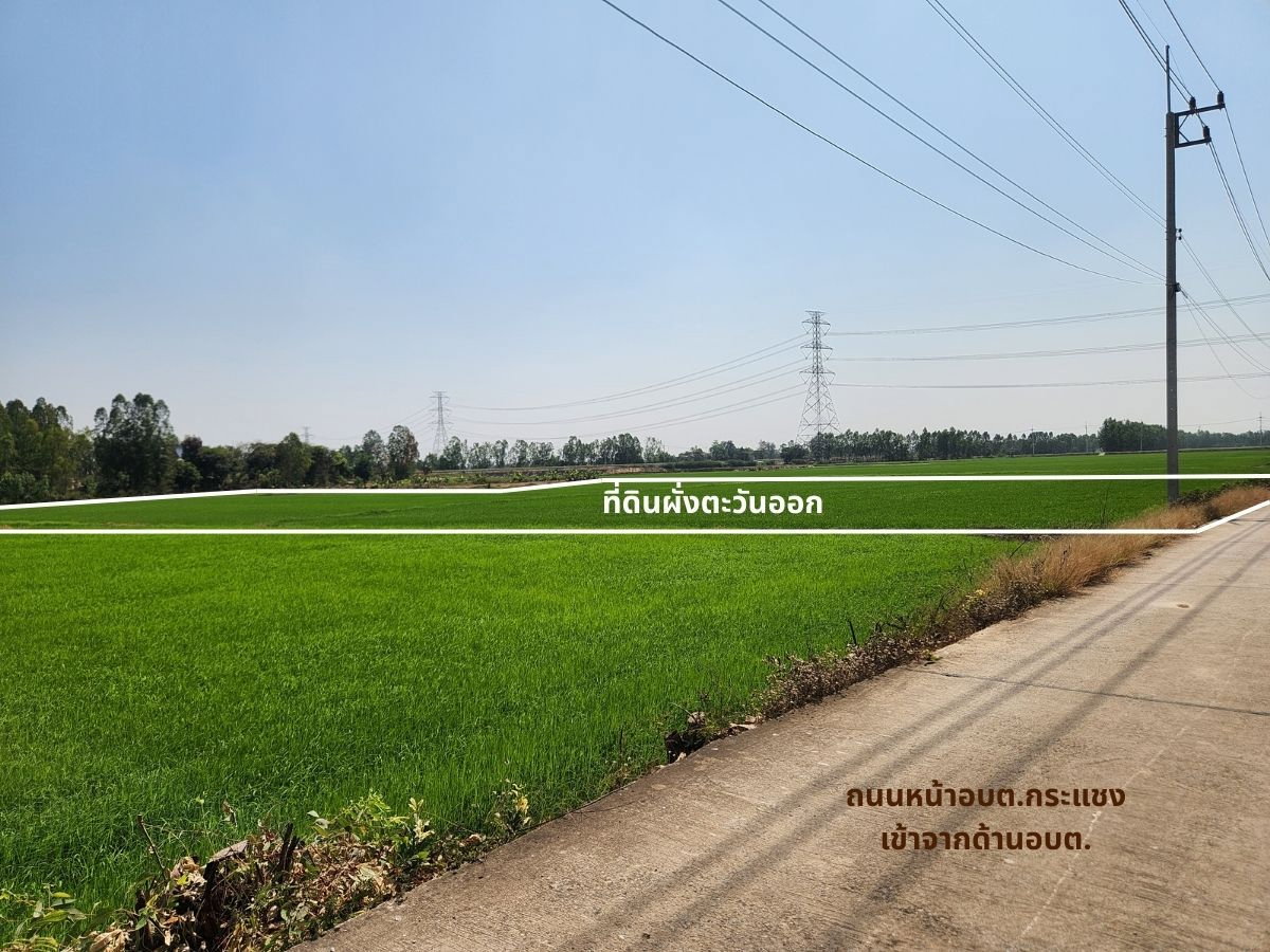 รูป 95682 - ขาย ที่ดิน 9-3-04 ไร่ ติดถนนคอนกรีต ใกล้ อบต.กระแชง อ.บางไทร - รูปที่ 6/10