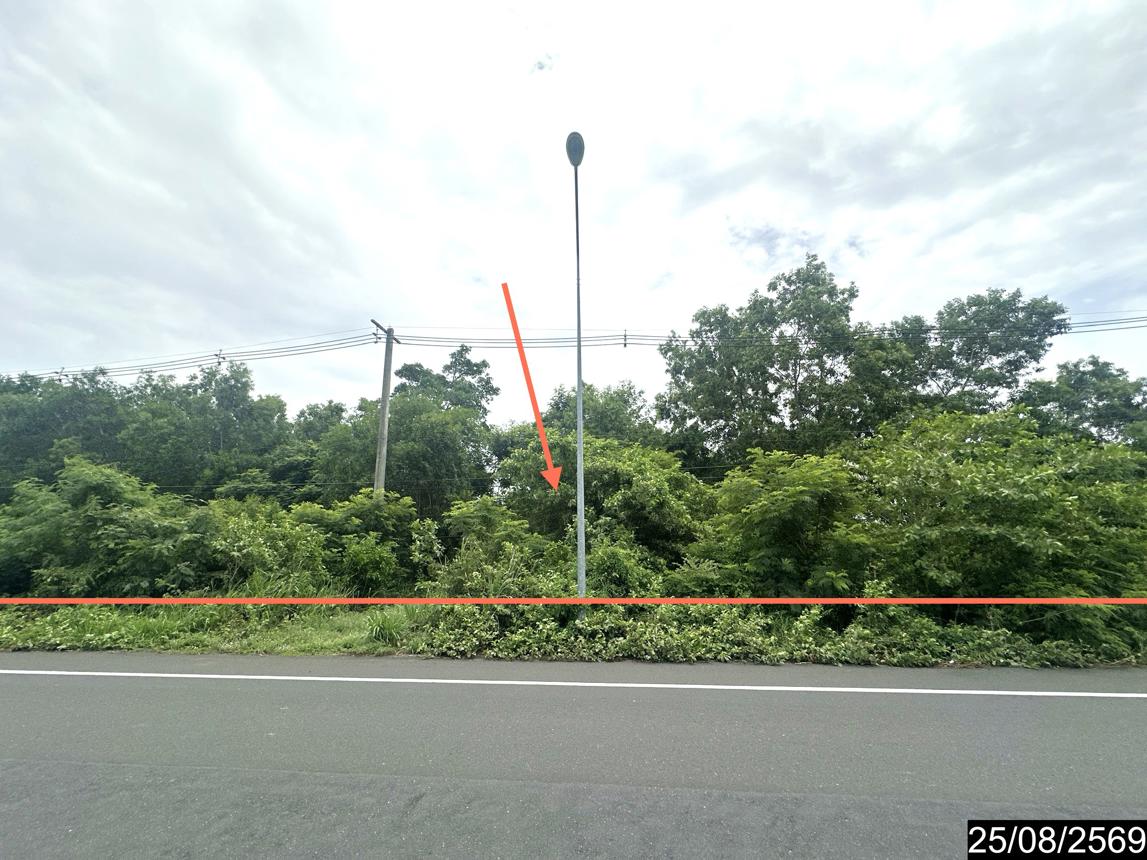 picture LAND 10253 Sq.w. Kham Khuan Kaeo Yasothon for 13.1M - 8/17