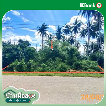 picture LAND 106 Sq.w. Khlong Thom Krabi for 679,000 - 17/19