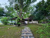 listing thumbnail image 77