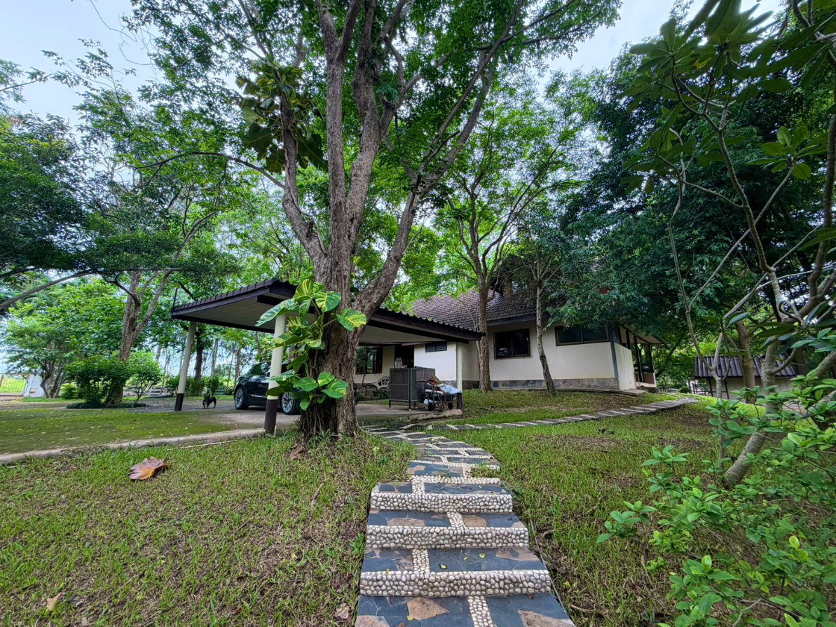 รูป ขายบ้านตากอากาศพร้อมบ้านต้นไม้ บนที่ดิน 2 ไร่ ปากช่อง - รูปที่ 78/89