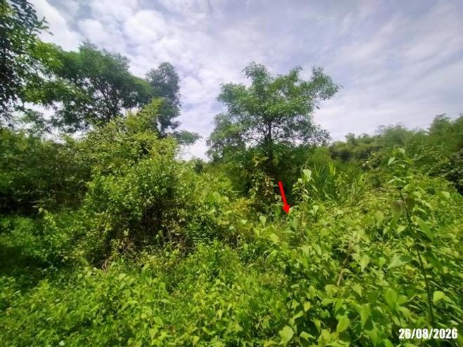 picture LAND 780 Sq.w. Muang Udon Thani Udon Thani for 2.3M - 6/21
