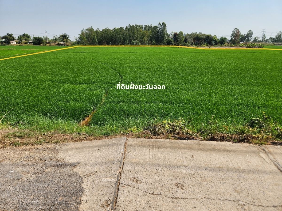 รูป 95682 - ขาย ที่ดิน 9-3-04 ไร่ ติดถนนคอนกรีต ใกล้ อบต.กระแชง อ.บางไทร - รูปที่ 7/10