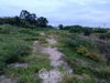 listing thumbnail image 3