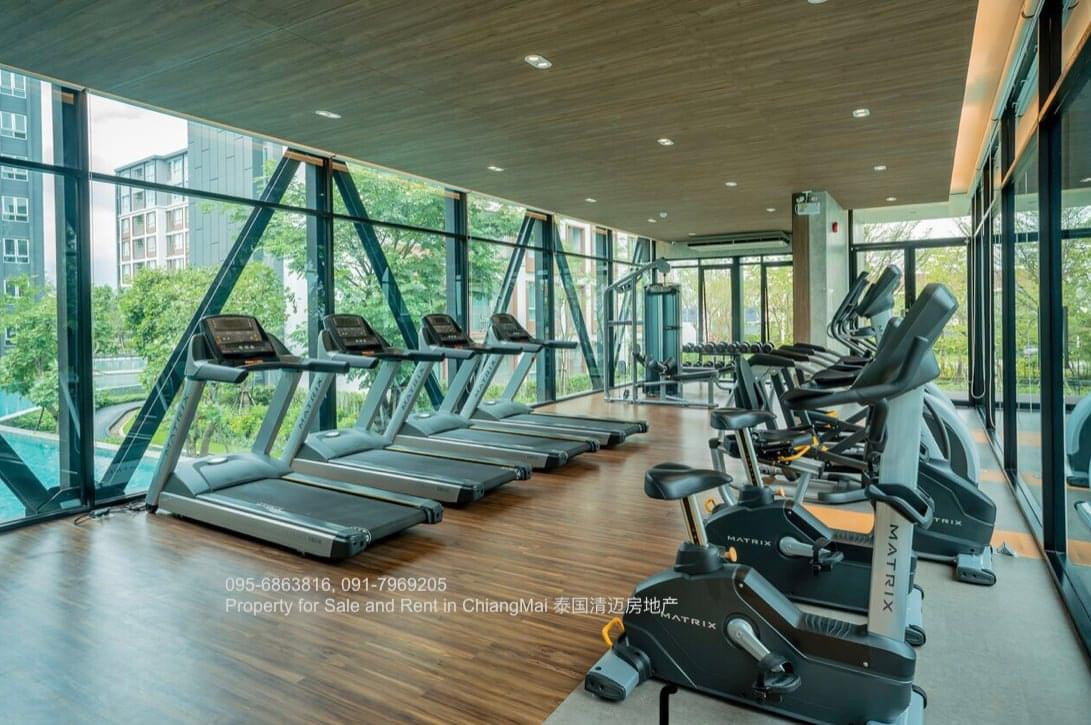 picture 🏡 D Condo Nim for Rent 📍 Building C, 3rd Floor | 37 sq.m. - 16/22