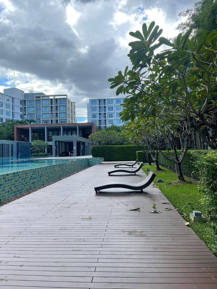 picture 🏡 D Condo Nim for Rent 📍 Building C, 3rd Floor | 37 sq.m. - 18/22