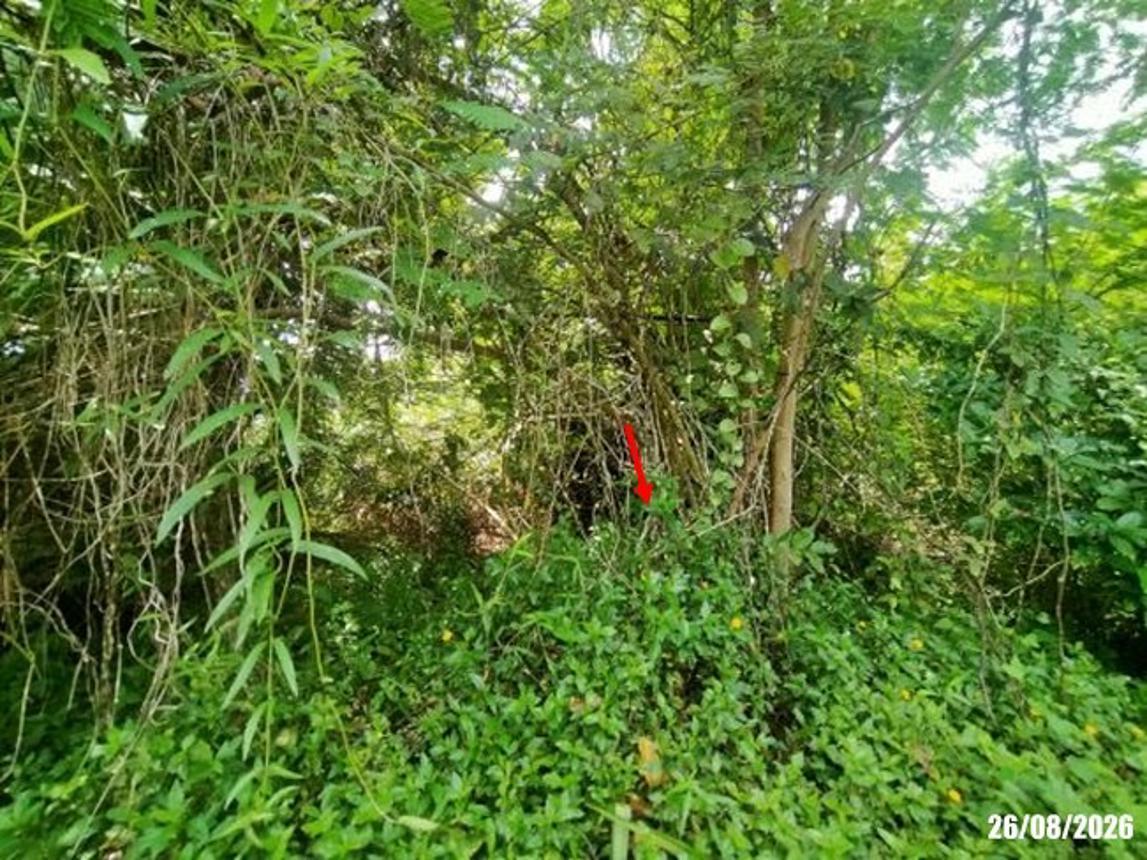 picture LAND 780 Sq.w. Muang Udon Thani Udon Thani for 2.3M - 15/21