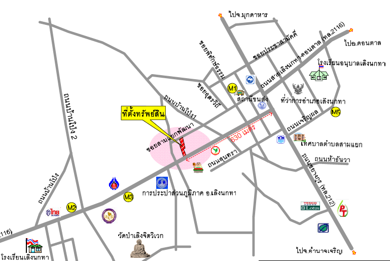 picture LAND 521.1 Sq.w. Loeng Nok Tha Yasothon for 14.7M - 3/4