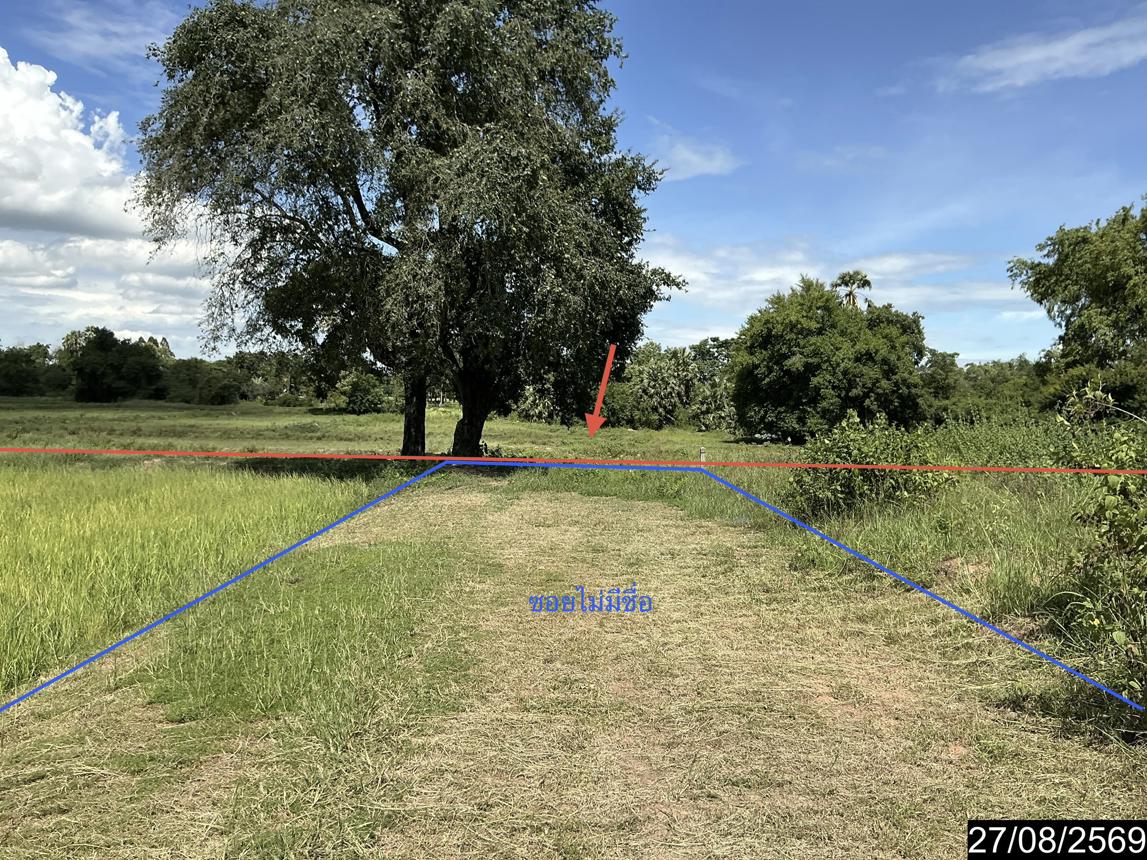 picture LAND 10404 Sq.w. Bua Yai Nakhon Ratchasima for 19.8M - 21/25
