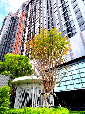 Condos for sale : 2-BR Condo at Flexi Sathorn - Charoennakorn near BTS Krung Thon Buri (ID 3371640)