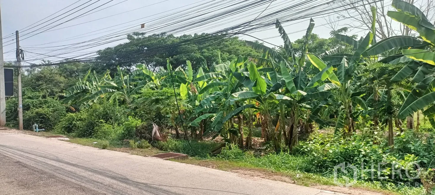 picture Land 6561 sqw in Nong Krathum, Mueang Nakhon Ratchasima, Nakhon Ratchasima - 2/3