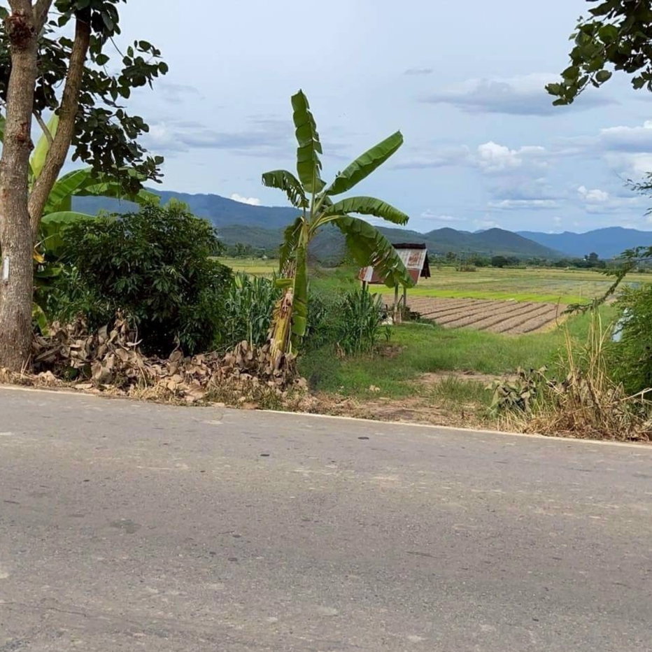 รูป 🌿 ขายที่ดินวิวเขา แม่แตง เชียงใหม่ ติดถนนคอนกรีต ใกล้วัดบ้านเด่นเพียง 2.5 กม. - รูปที่ 4/7