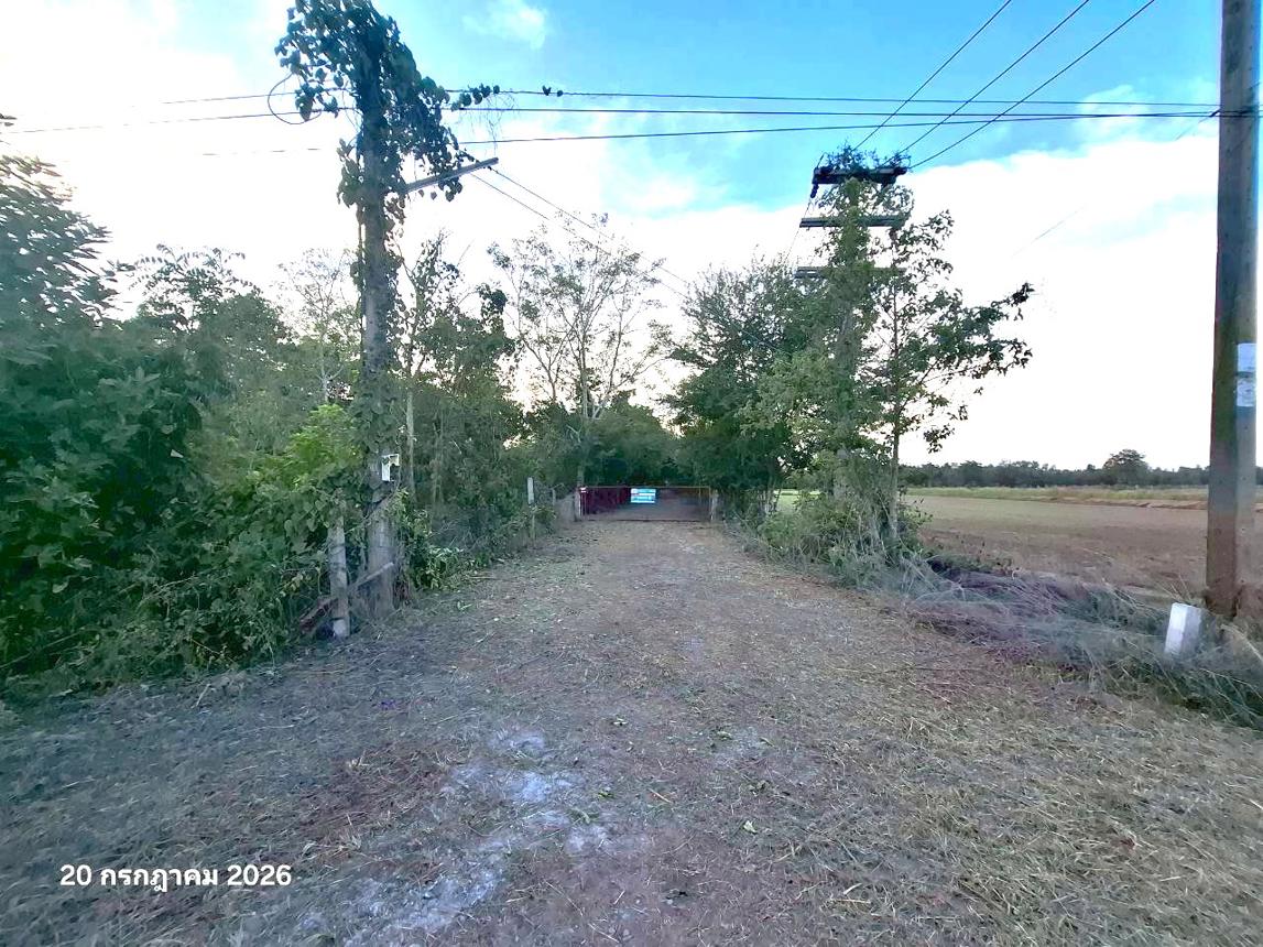 รูป โกดัง 5321 ตร.วา ตะพานหิน พิจิตร 13.4M - รูปที่ 38/43