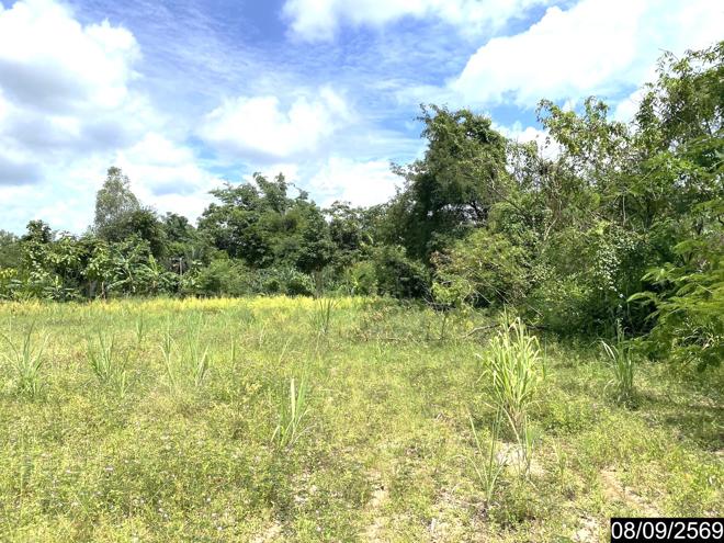 picture LAND 478 Sq.w. Sra Khrai Nongkai for 956,000 - 8/21