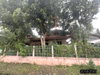 listing thumbnail image 26