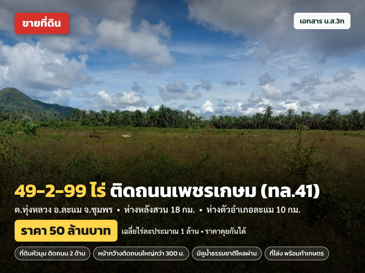รูป ขายที่ดิน 49-2-99 ไร่ ติดถนนเพชรเกษม (ทล.41) ที่ดินหัวมุม ติดถนน 2 ด้าน ละแม ชุมพร ราคา 50 ล้าน - รูปที่ 9/9