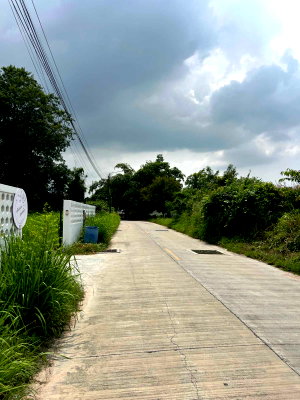 Land for sale : LAND FOR SALE – 571 sq.wah | Nong Ri, Mueang Chonburi | #TPI-3512