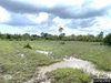 listing thumbnail image 26