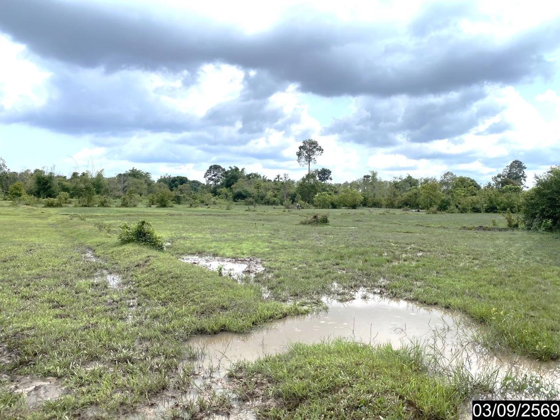 picture LAND 6586 Sq.w. Nongkai for 12.2M - 27/35