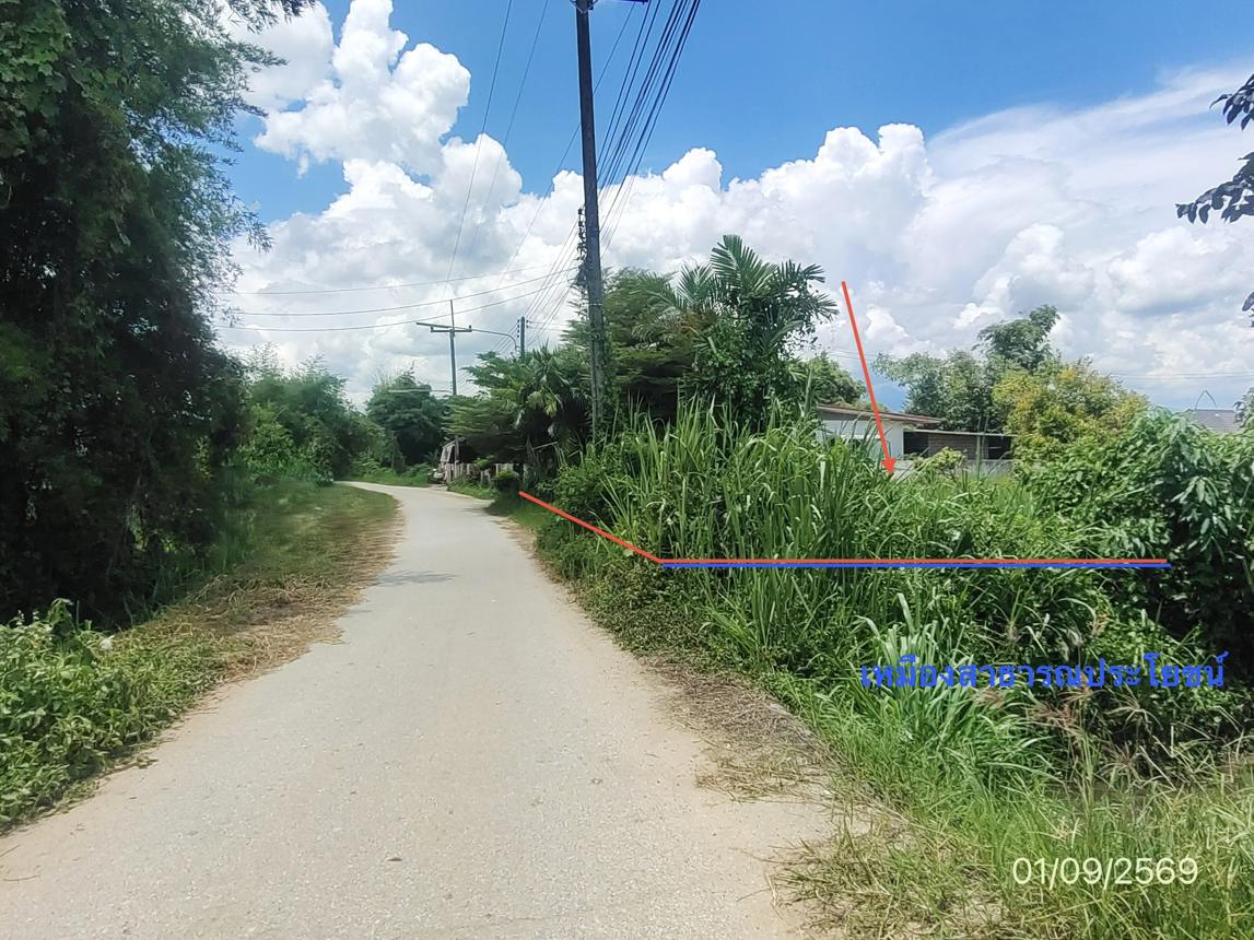 รูป ที่ดินว่างเปล่า 250 ตร.วา ฝาง เชียงใหม่ 1.6M - รูปที่ 15/21