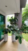 listing thumbnail image 18