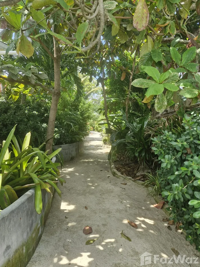 picture 4 Bedroom Villa for sale in Maret, Surat Thani  6842847 - 14/18