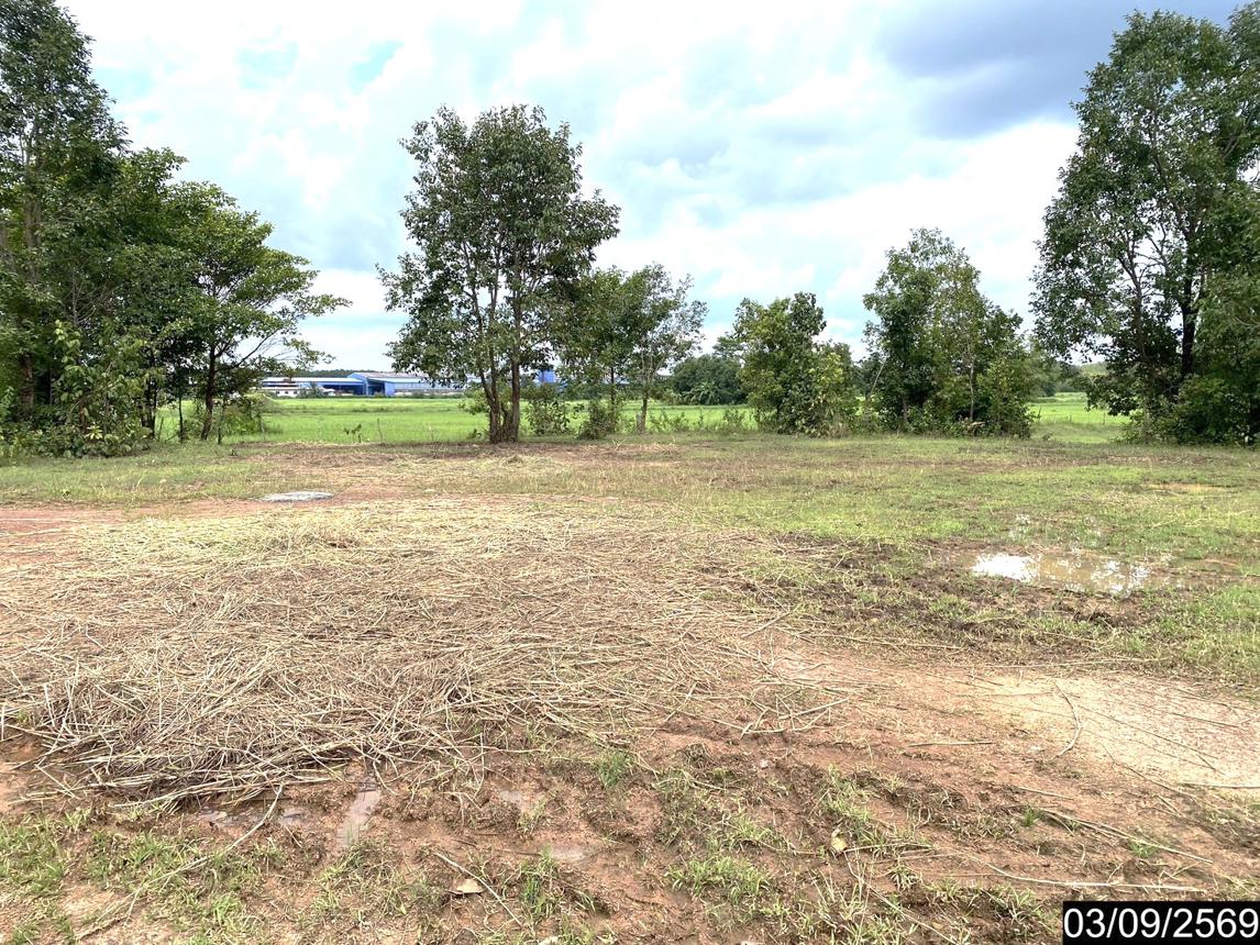 picture LAND 6586 Sq.w. Nongkai for 12.2M - 22/35