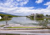 listing thumbnail image 15