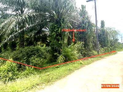 LAND 1323 Sq.w. Palian Trang for 1.3M