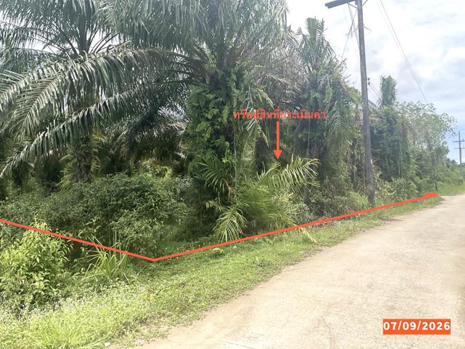 picture LAND 1323 Sq.w. Palian Trang for 1.3M - 1/15
