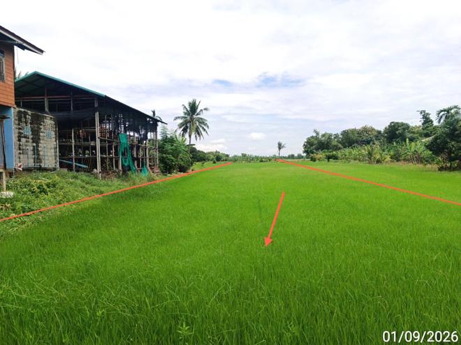 รูป ที่ดินว่างเปล่า 970 ตร.วา เมืองสุโขทัย สุโขทัย 1.9M - รูปที่ 5/21