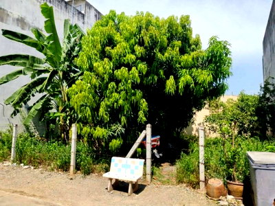 Land for sale U Thong Suphanburi : LAND FOR SALE IN THE HEART OF U THONG, SUPHAN BURI – 40 SQ.WAH | YELLOW ZONING | FILLED LAND | PUBLIC ROAD FRONTAGE | #TPI-3519