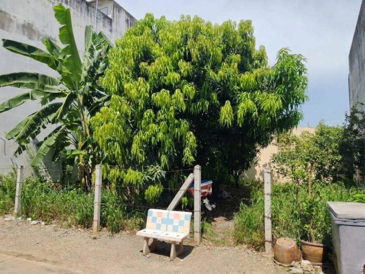 รูป ขายที่ดินเปล่าใจกลางอู่ทอง สุพรรณบุรี 40 ตร.ว. ผังเมืองสีเหลือง ถมแล้วติดถนนสาธารณะ เหมาะลงทุนระยะยาว ใกล้แหล่งชุมชน | #TPI-3519 - รูปที่ 1/4