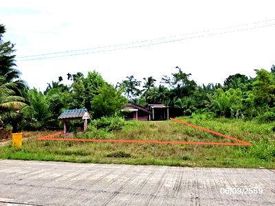 บ้านเดี่ยว สุราษฎร์ธานี : บ้านเดี่ยว 193 ตร.วา ชัยบุรี สุราษฎร์ธานี 2.1M