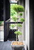 listing thumbnail image 22
