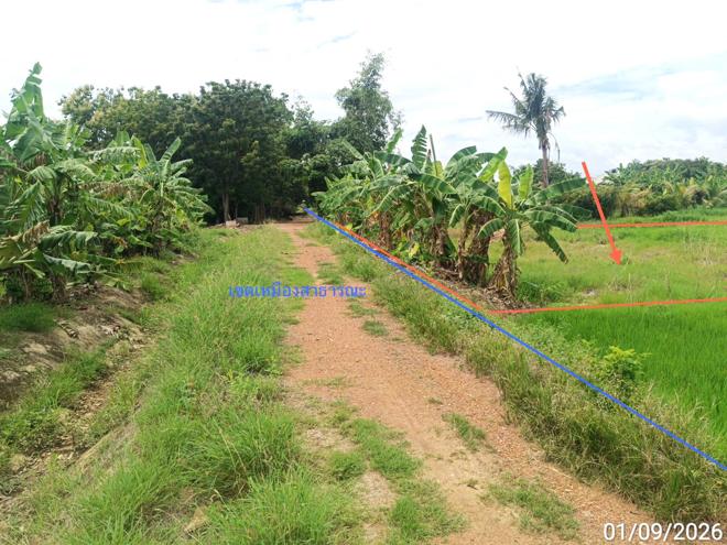 รูป ที่ดินว่างเปล่า 970 ตร.วา เมืองสุโขทัย สุโขทัย 1.9M - รูปที่ 7/21