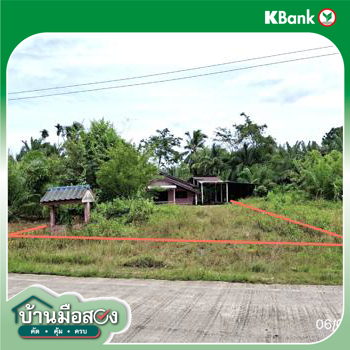 picture HOME 193 Sq.w. Chaiburi Surat Thani for 2.1M - 33/35