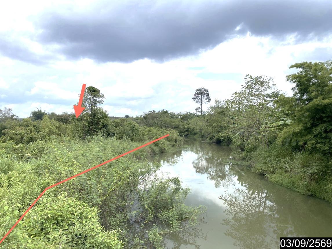 picture LAND 6586 Sq.w. Nongkai for 12.2M - 31/35