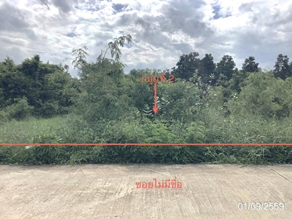 picture LAND 4686.2 Sq.w. Lat Yao Nakhon Sawan for 7M - 18/27