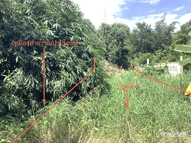 picture LAND 4686.2 Sq.w. Lat Yao Nakhon Sawan for 7M - 4/27