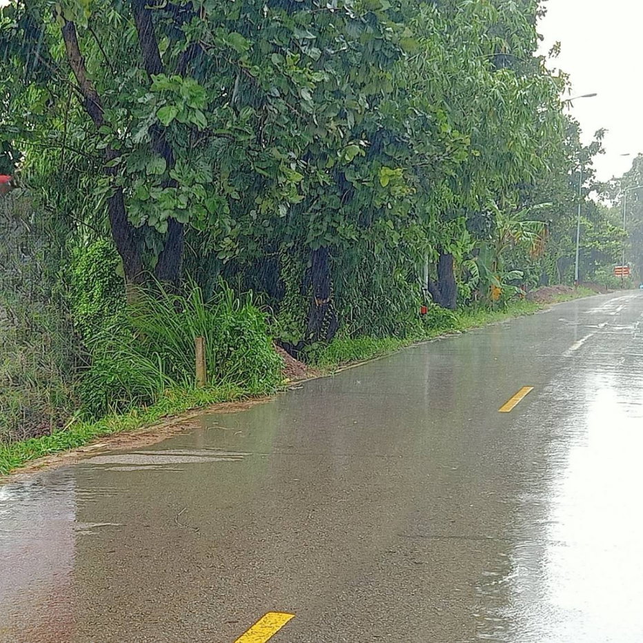 รูป 🌿 ขายที่ดินวิวเขา แม่แตง เชียงใหม่ ติดถนนคอนกรีต ใกล้วัดบ้านเด่นเพียง 2.5 กม. - รูปที่ 5/7