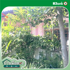listing thumbnail image 14