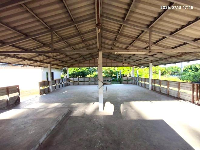 picture FACTORY 3248 Sq.w. Phaya Mengrai Chiang Rai for 5.7M - 26/55