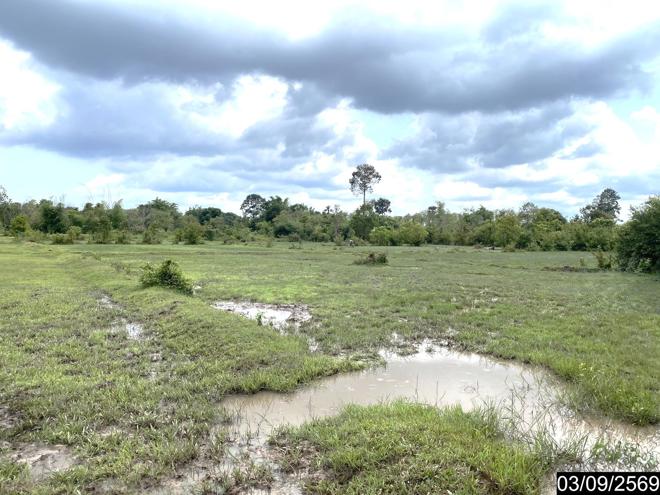 picture LAND 6586 Sq.w. Nongkai for 12.2M - 12/35