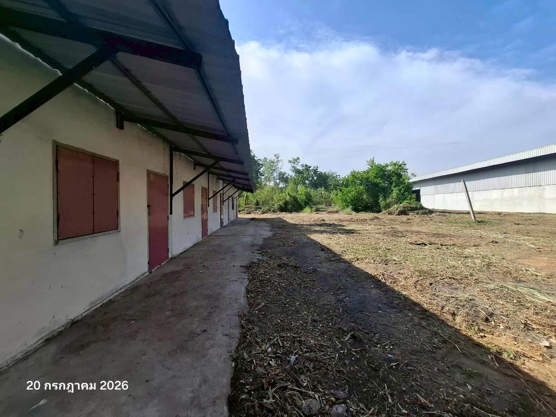 รูป โกดัง 5321 ตร.วา ตะพานหิน พิจิตร 13.4M - รูปที่ 30/43