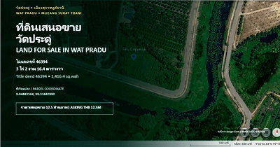 ที่ดิน สุราษฎร์ธานี : ขายที่ดิน 3 ไร่ 2 งาน 16.4 ตารางวา วัดประดู่ สุราษฎร์ธานี ถนนลาดยางเข้าได้ ทำเลดี