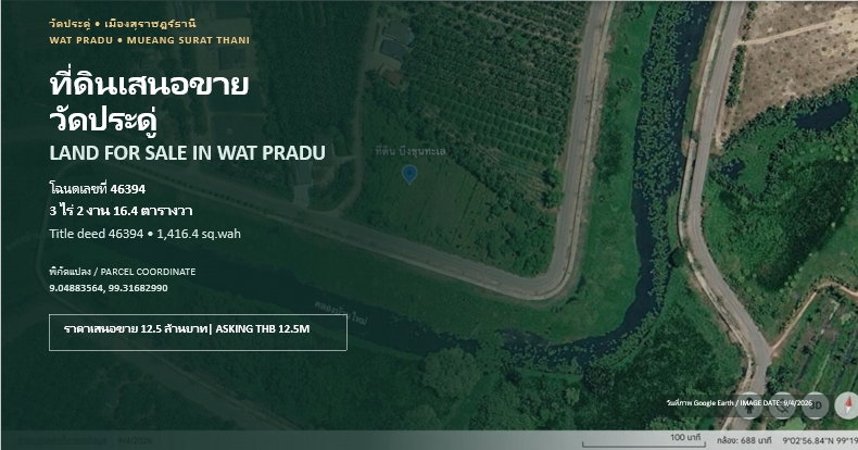 รูป ขายที่ดิน 3 ไร่ 2 งาน 16.4 ตารางวา วัดประดู่ สุราษฎร์ธานี ถนนลาดยางเข้าได้ ทำเลดี - รูปที่ 1/15