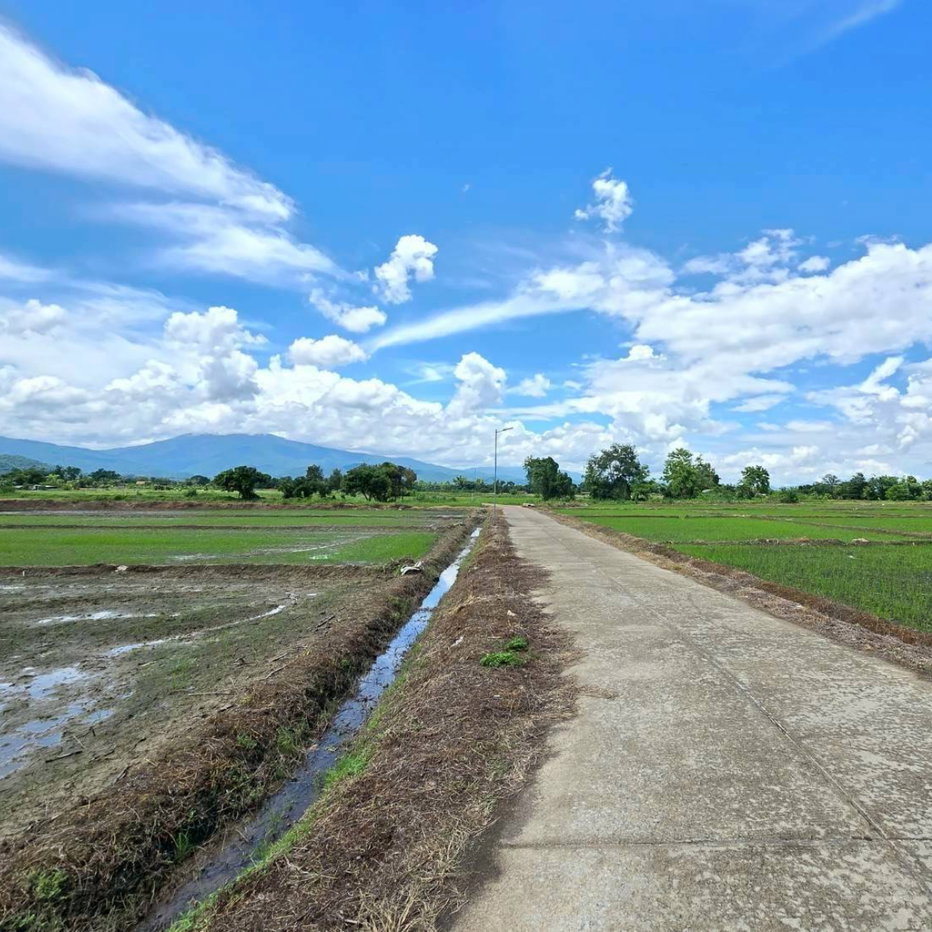 picture 🌿 Beautiful Mountain View Land for Sale in Fang, Chiang Mai 🍃 - 8/10