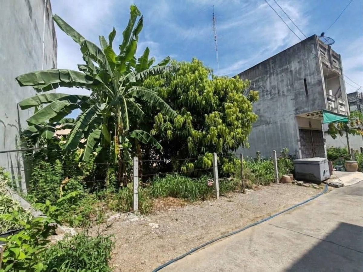 รูป ขายที่ดินเปล่าใจกลางอู่ทอง สุพรรณบุรี 40 ตร.ว. ผังเมืองสีเหลือง ถมแล้วติดถนนสาธารณะ เหมาะลงทุนระยะยาว ใกล้แหล่งชุมชน | #TPI-3519 - รูปที่ 2/4